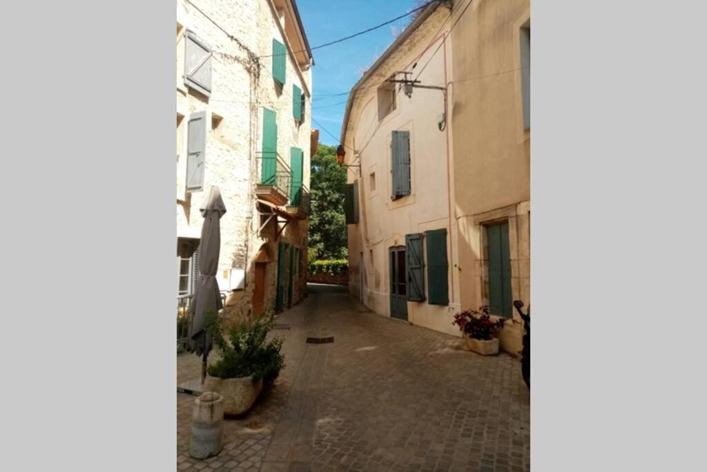 Character Filled House Overlooking The River Cesse Bize-Minervois Екстериор снимка